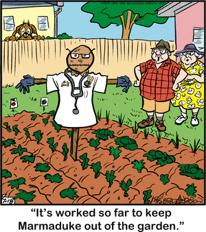 marmaduke